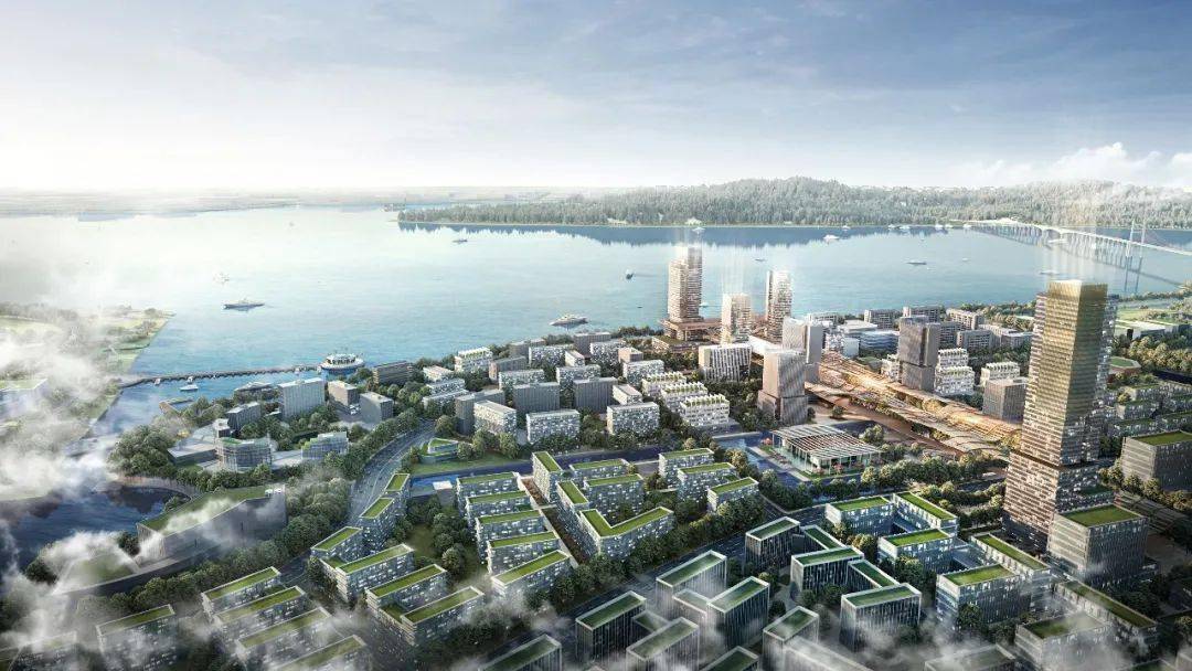 官宣!东莞滨海湾新区荣获全国“最具投资价值新区”!_发展
