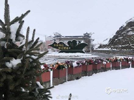 新疆伊吾四月下暴雪 积雪深度达10厘米