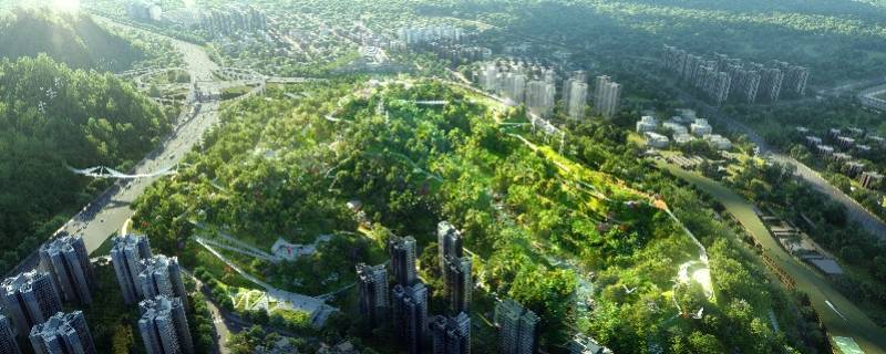 立项16年深圳安托山自然艺术公园开工！城市基石变新晋地标