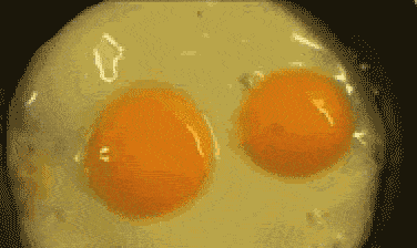 一天吃几个鸡蛋好蛋黄能吃吗10个关于鸡蛋的问题一次说清