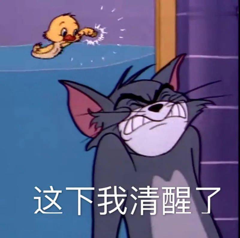 9d597dba24274b89b7ab6da47a20a736.jpeg