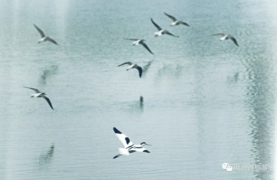 山清水秀曲谱_山清水秀头像(3)