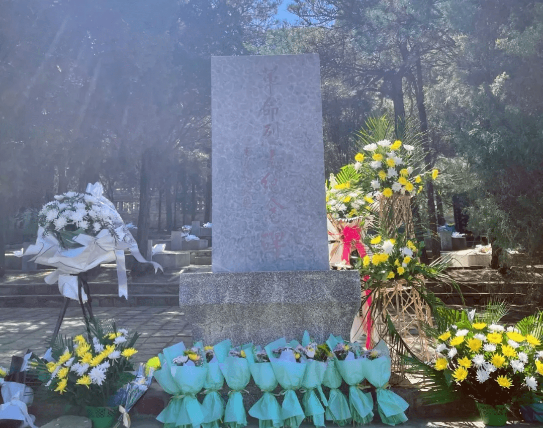4月4日上午,民建秦皇岛市北戴河总支赴北戴河区戴河镇青龙山烈士陵园