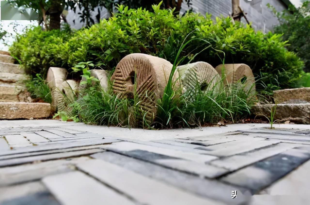 乡村庭院自然质朴