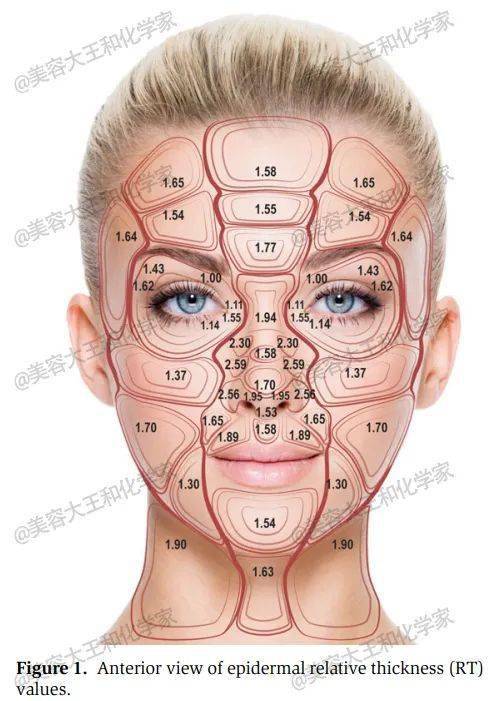 由于皮肤不同区域的厚度并不一样,在专业【水光针】操作中,根据面部不