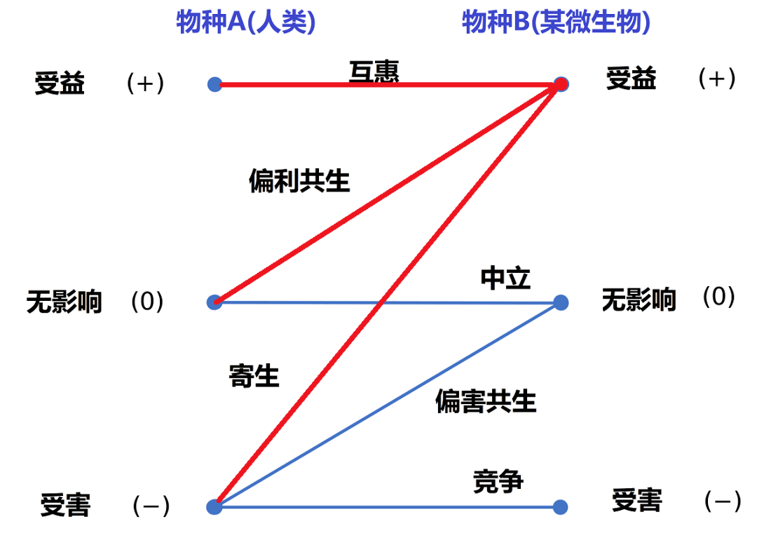 人口疏散的三种类型_指纹的三种类型图片(3)