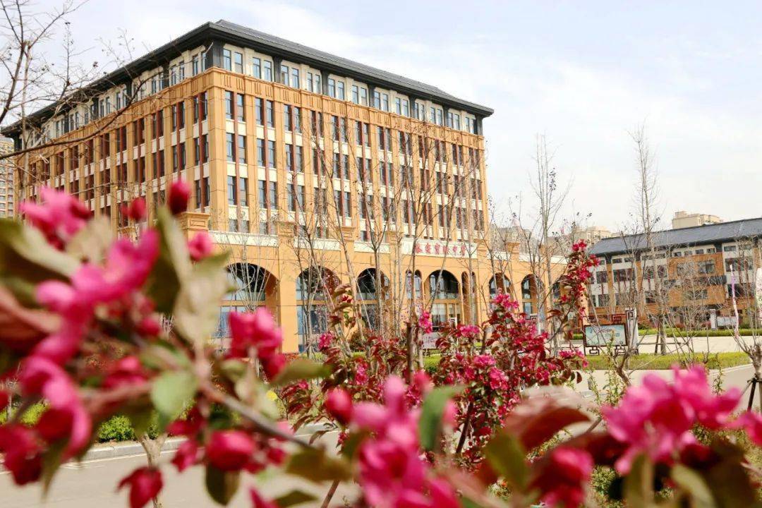 泰安英雄山中学早春阳光温柔 春风宜人满满的春意拂荡在英中的校园