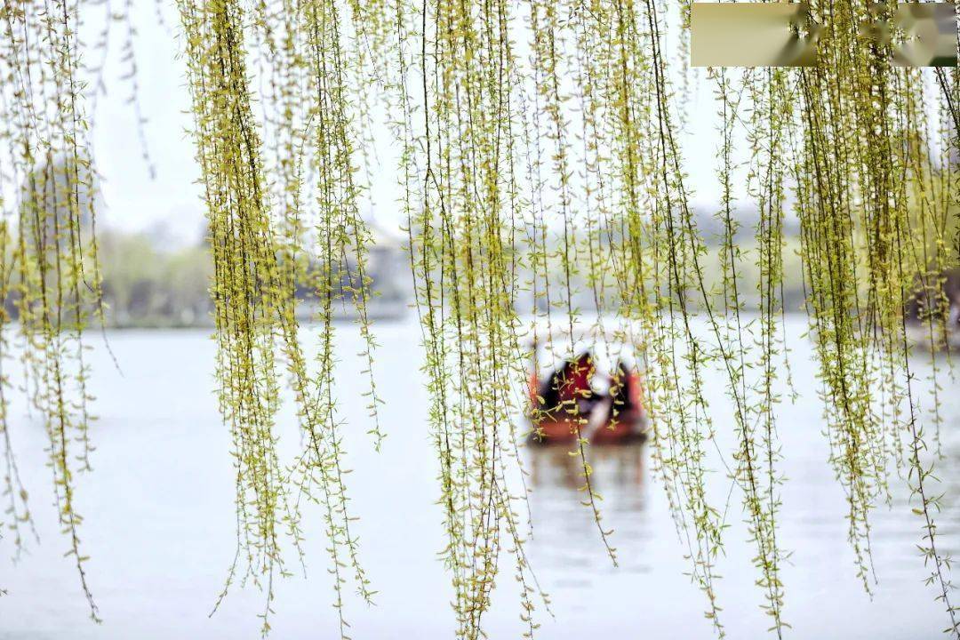 67最美不过江南春