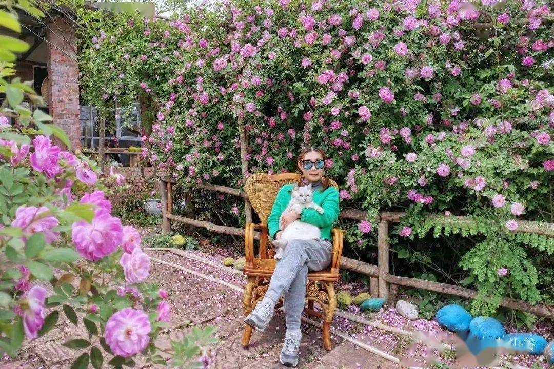 为了一句承诺 他花4年时间为妻子打造10亩花田 还把恩爱秀到了央视 殷洁