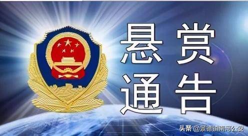 永新县公安局关于公开悬赏通缉涉黑在逃人员龙钦锋的公告在吉安市公安