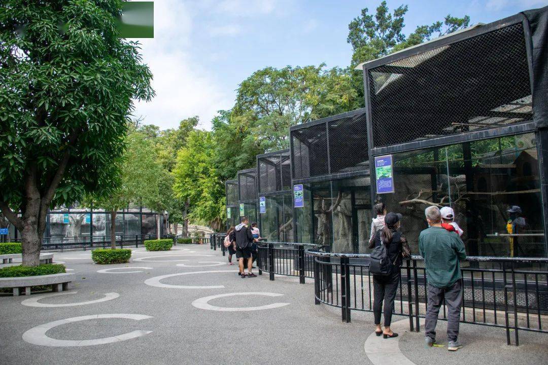 速看中山公园动物园游乐园需预约入园老人儿童都要