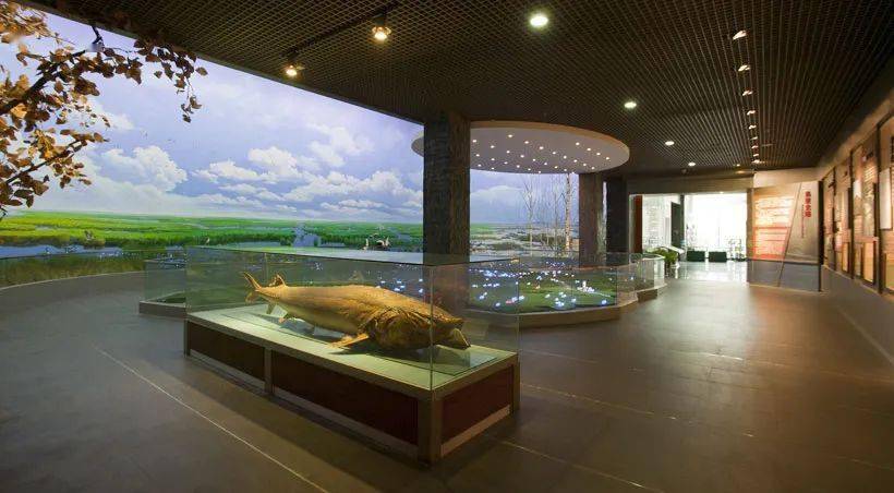 北大荒博物馆位于哈尔滨市香坊区红旗大街175号,是一座收藏,研究,展示