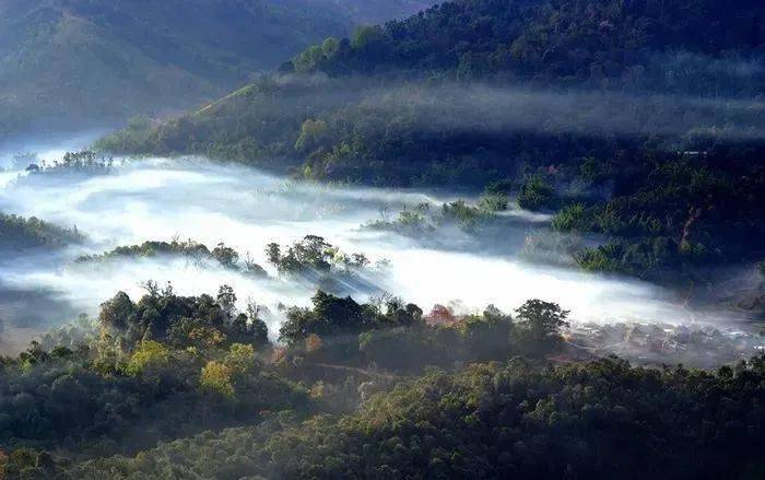 勐海縣布朗山鄉守住綠水青山才能有好茶山