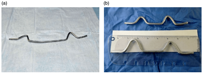 如何在犬猫绝育手术中选择摆位和切口选择