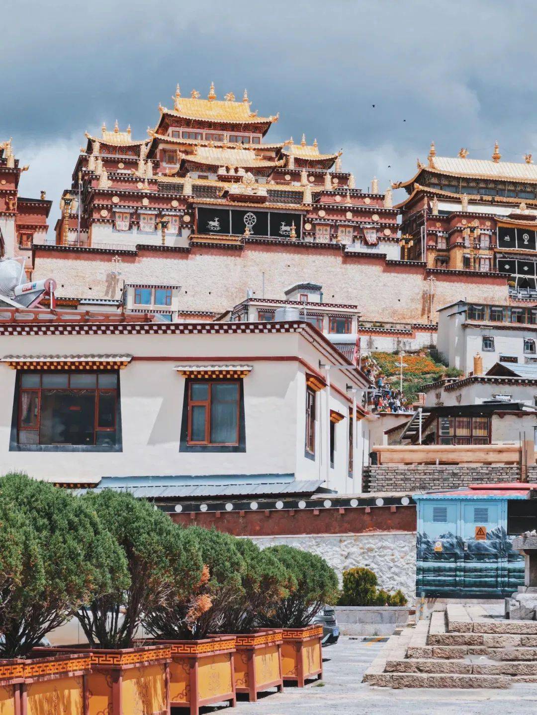 景甜新剧司藤取景地是什么神仙地方四月满山杜鹃花开美成仙境