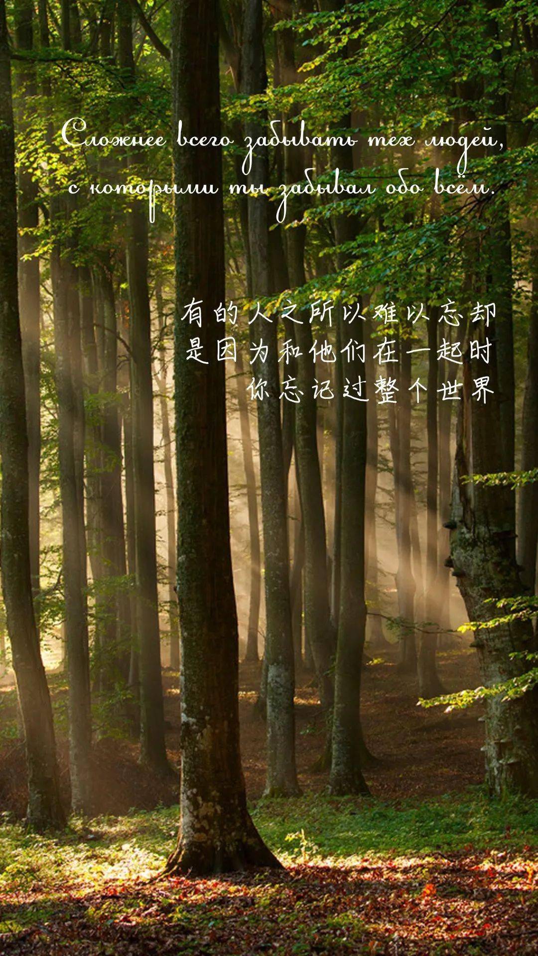 每日美句曾经美好所以难忘