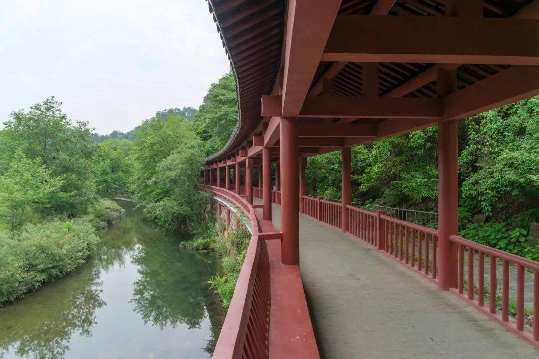 剖面|常山有枚“金钉子”，它是地球“年轮”，记录4亿年前沧海桑田｜草地·说人解史