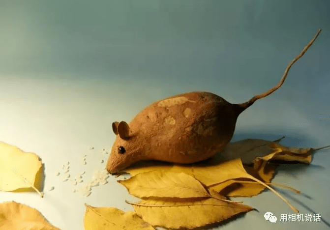 4月12日限行提示丨盐山西璋壁村百变红薯当模特