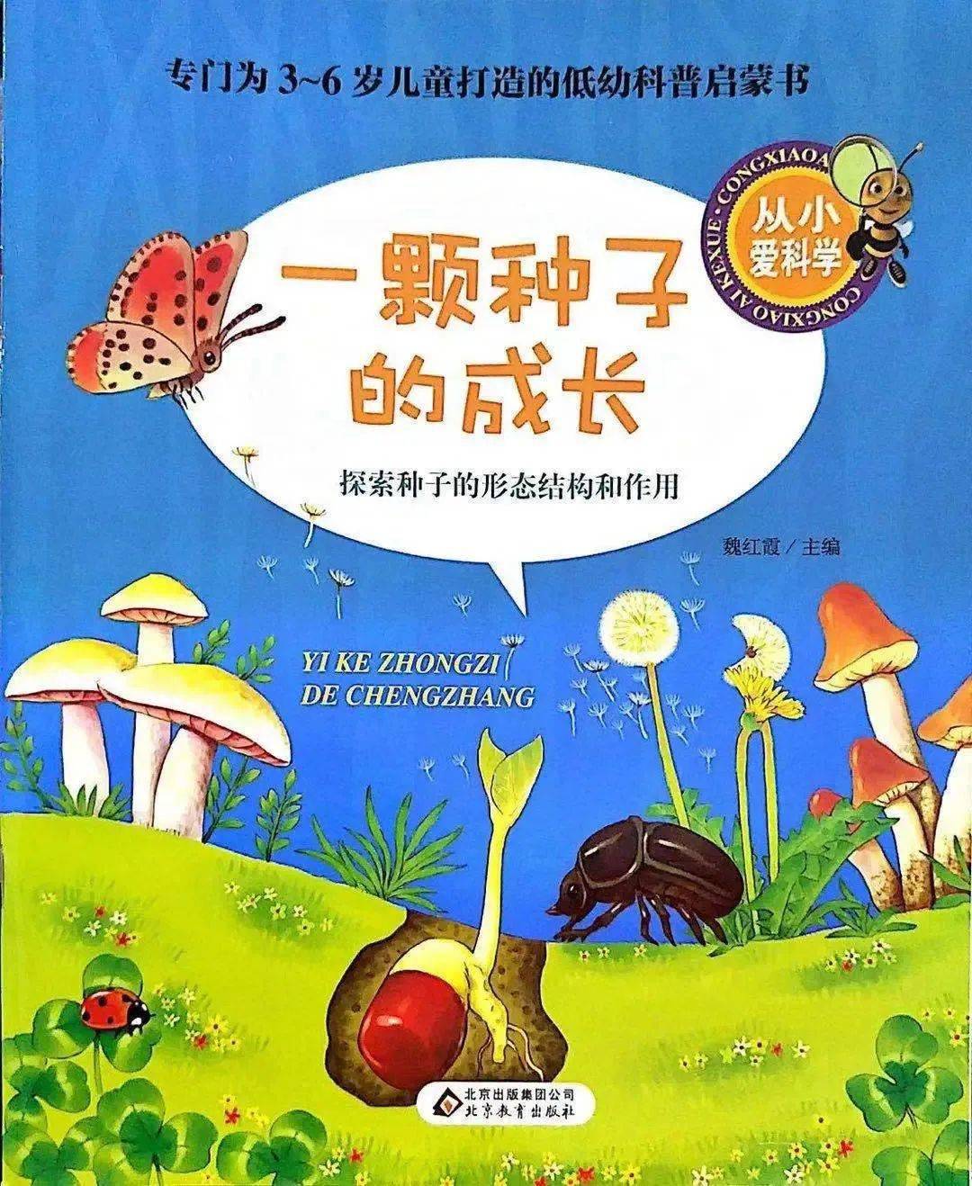 青少年宫艺术幼儿园小班主题活动——发芽了_种子