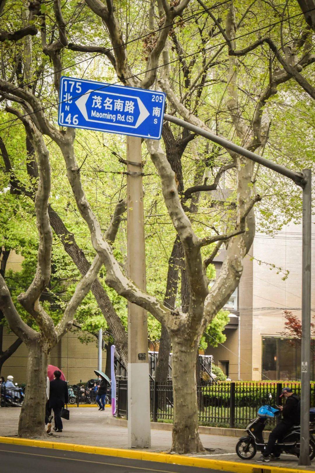 原创十年了你还记得卢湾区吗