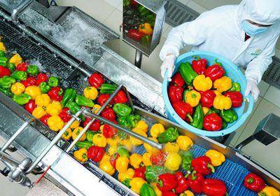 在净菜加工车间,工人正在清洗彩椒,准备配送(资料图).