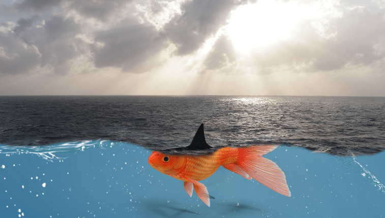 小米集团宣布造车股价意外低迷 百亿投入够&q