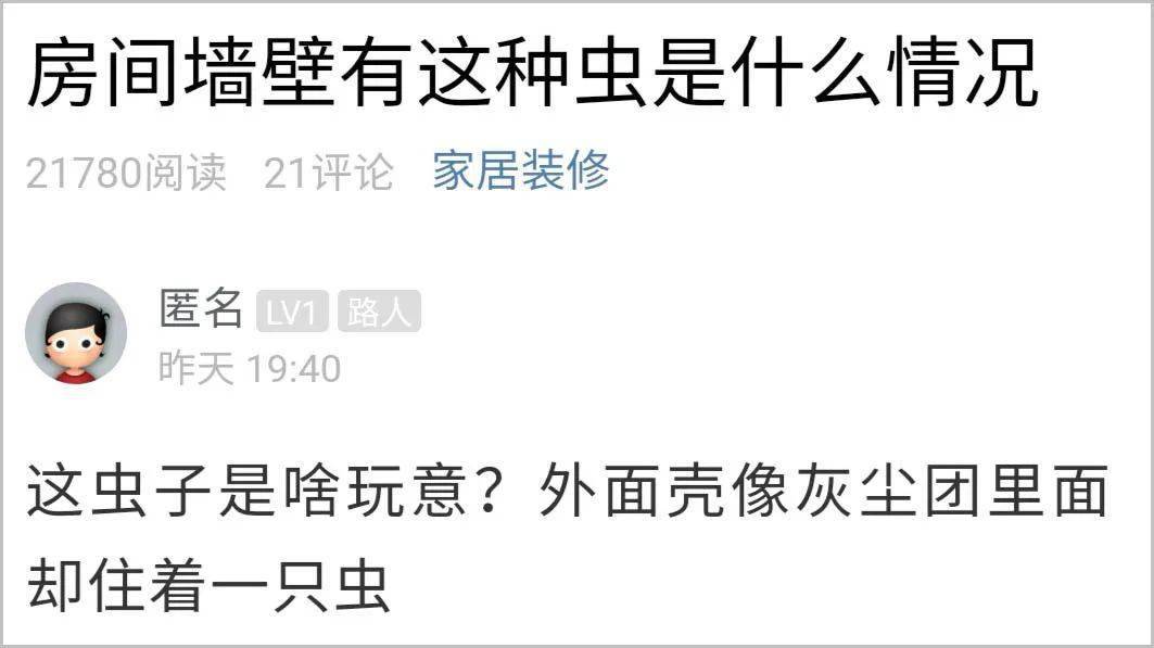 家里出现这种虫!一旦看到立马清除_衣蛾