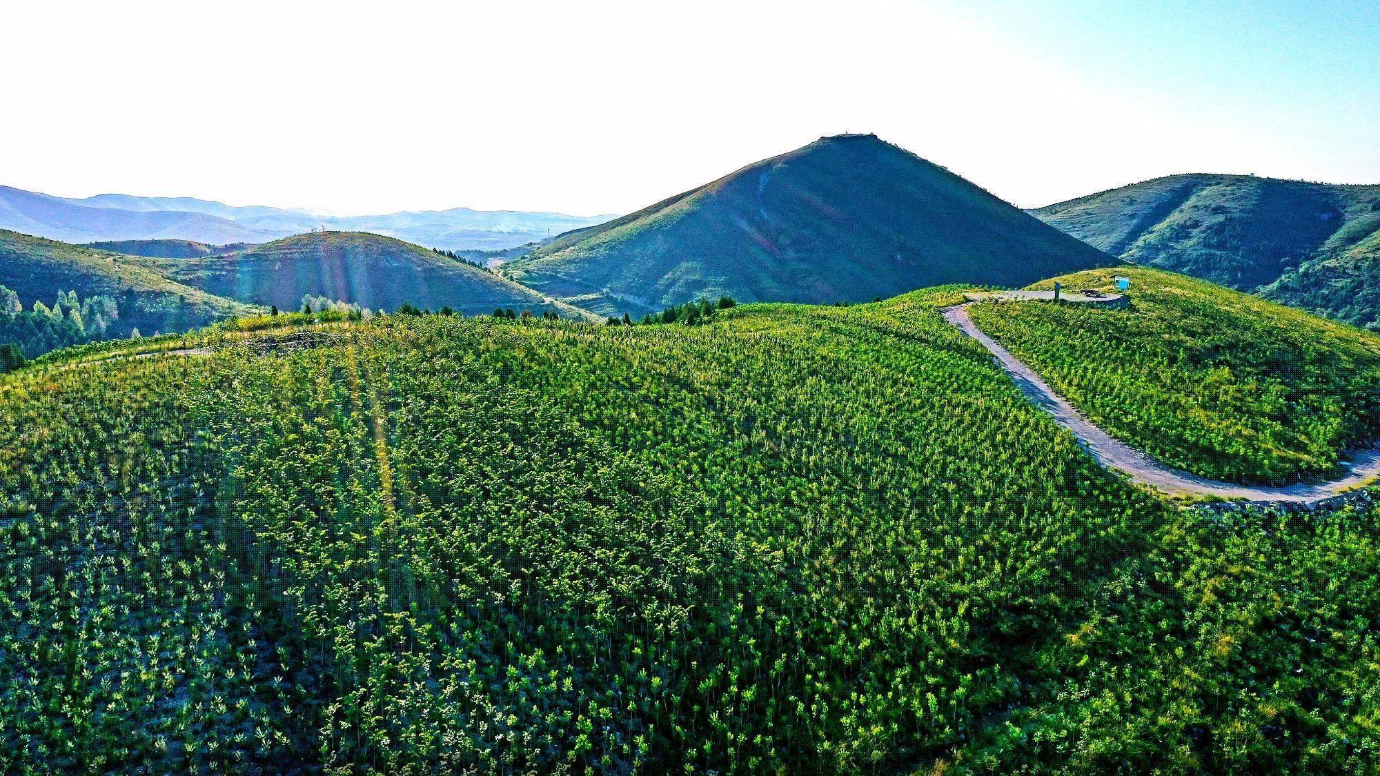 荒山壁纸图片