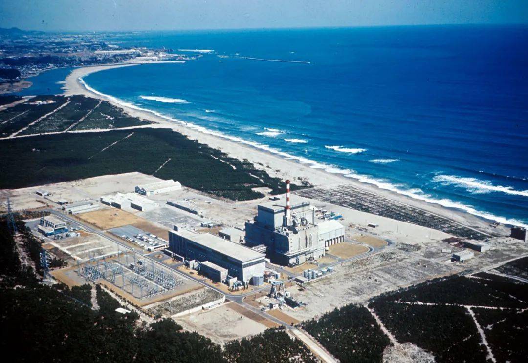 《 日本东海村核临界事故-治疗核辐射83天的记录》：热搜没骂够的，都在这部限制级里