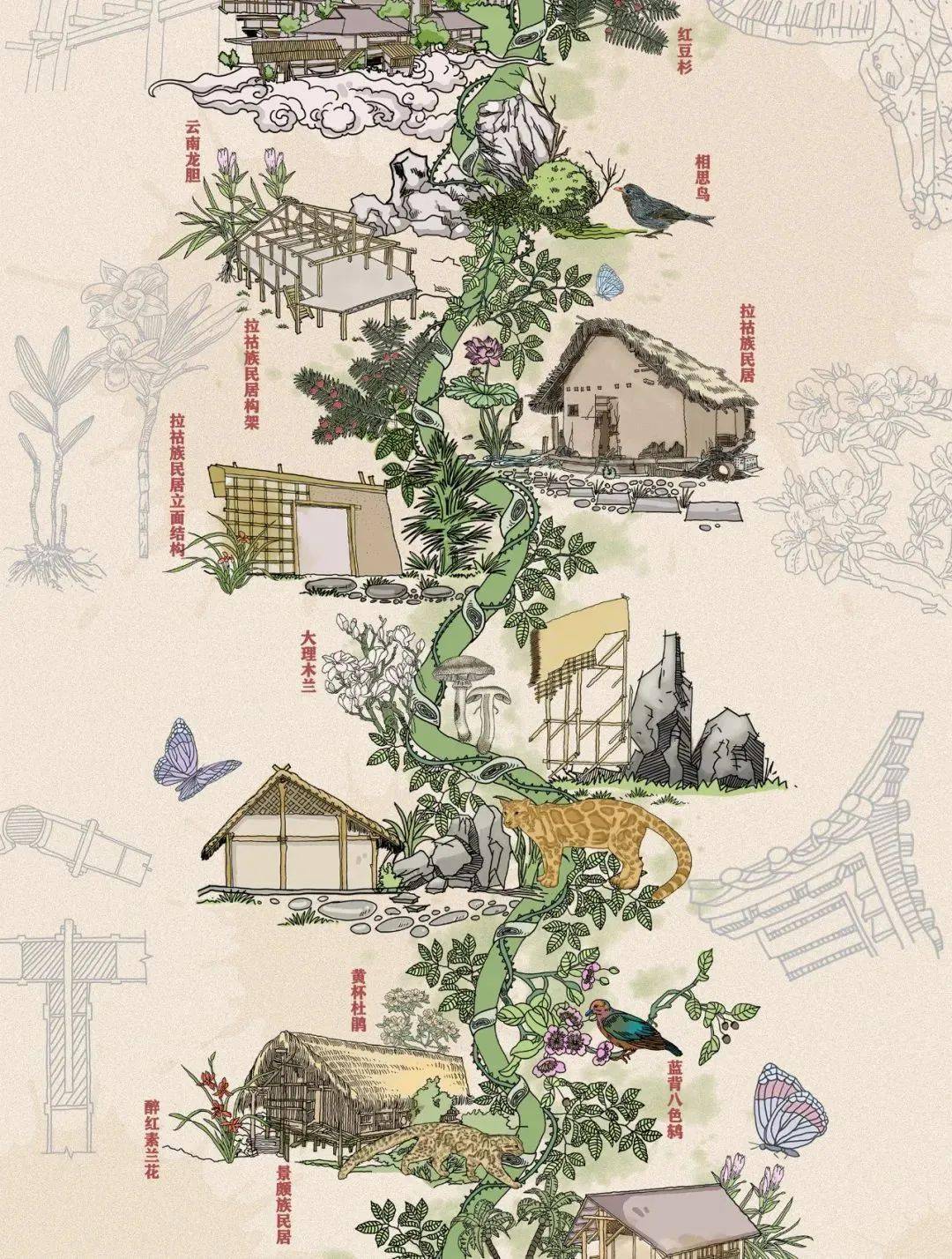 cop15手绘多样云南这组长图绝了