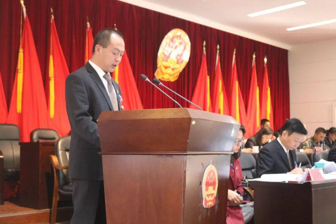 大理镇人民政府镇长杨利平作政府工作报告▲市人大常委会副主任怔晋