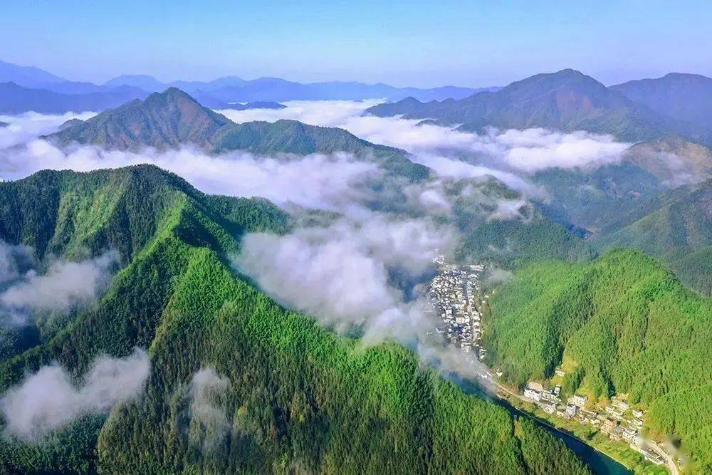 休宁县第三届流口茗洲有机茶文化旅游节来啦周末高阶玩法就在这
