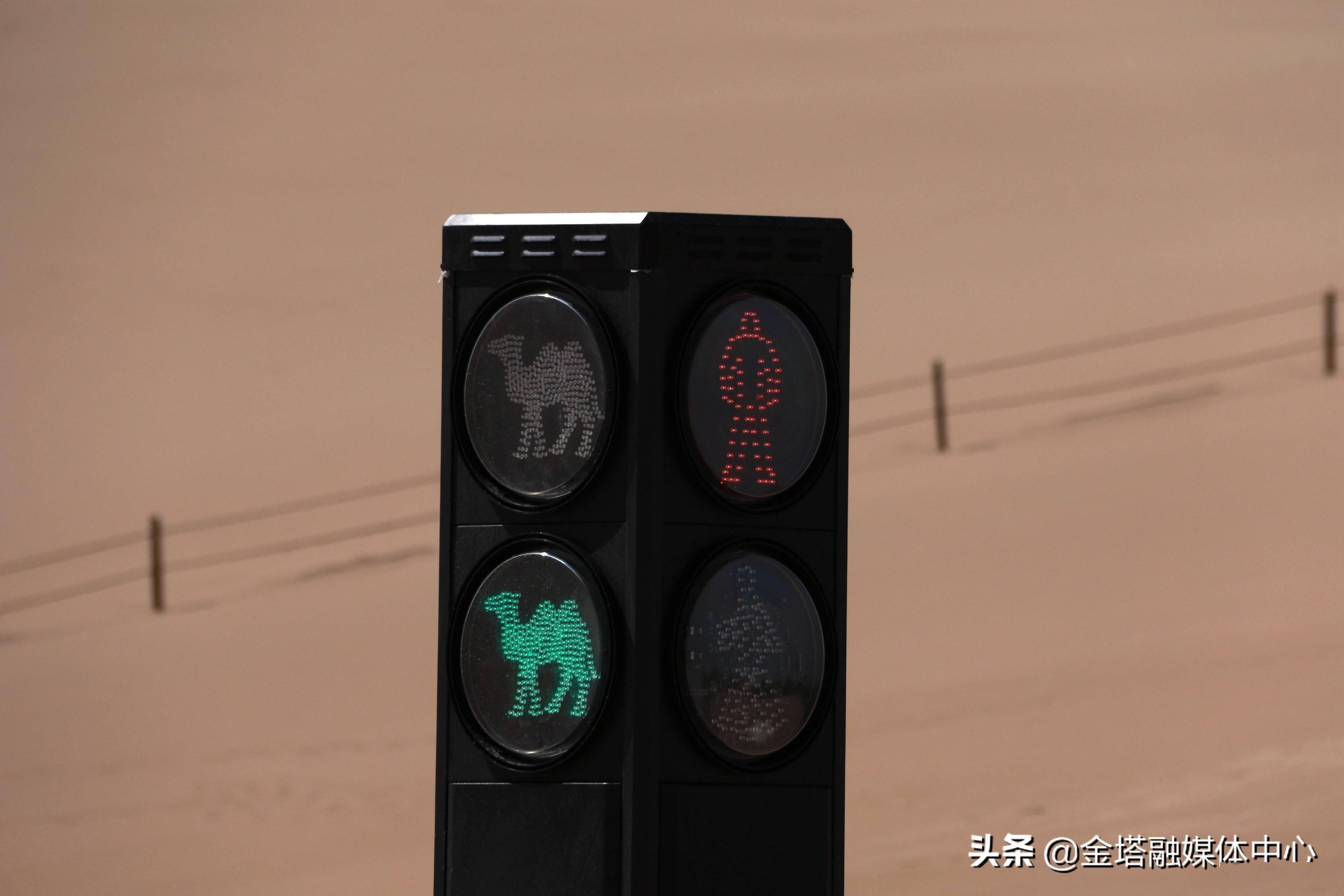 「区县新闻」酒泉敦煌鸣沙山月牙泉景区:"红骆驼停,绿骆驼行"
