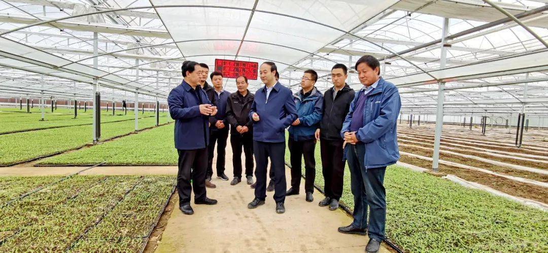 孙根林在白河镇王坝镇调研指导特色产业发展等工作_礼县