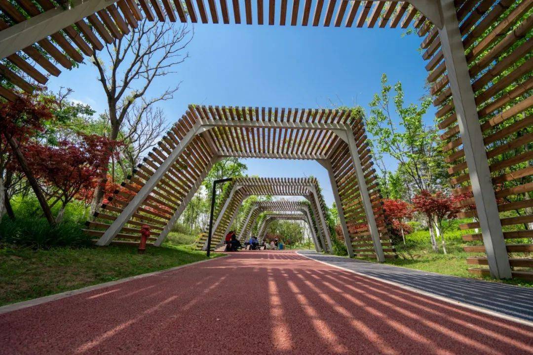 你敢来挑战吗?_公园