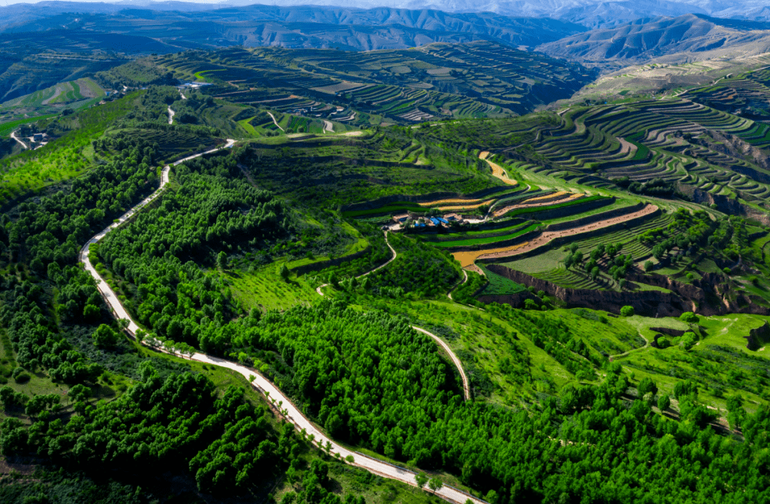 绿色崛起的会宁写在全民义务植树活动之际