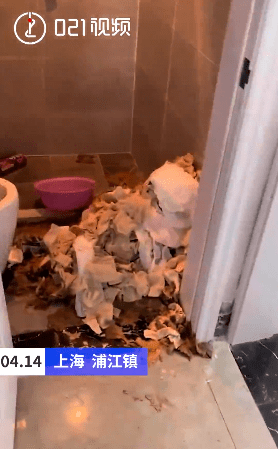 年轻女租客失联上海房东进门吓呆垃圾满地厕所污物堆成山