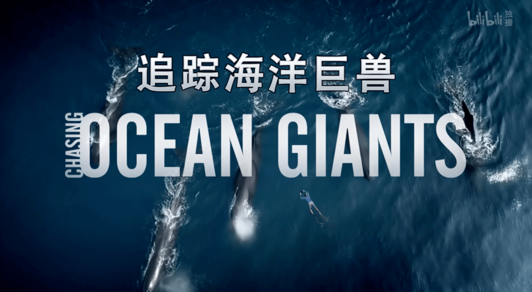 Ocean纪录片图片