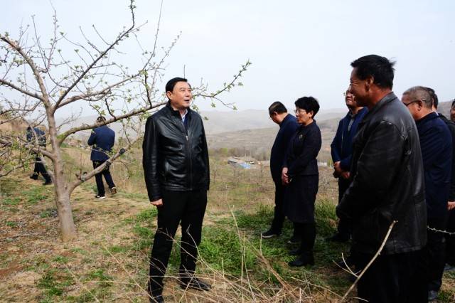 65赵卫东一行先后来到秦安县莲花镇董湾村,五营镇新润农业科技开发