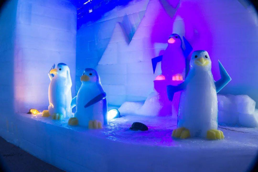 台儿庄梦幻冰雪大世界沉浸在这个意犹未尽的春天