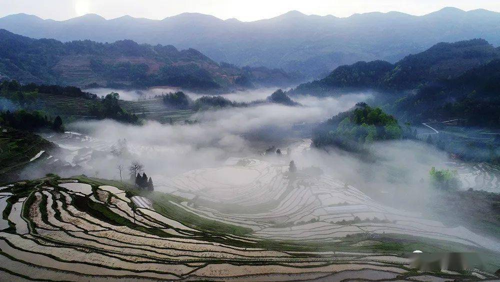 美图航拍重庆酉阳花田乡云雾绕梯田美景入画来