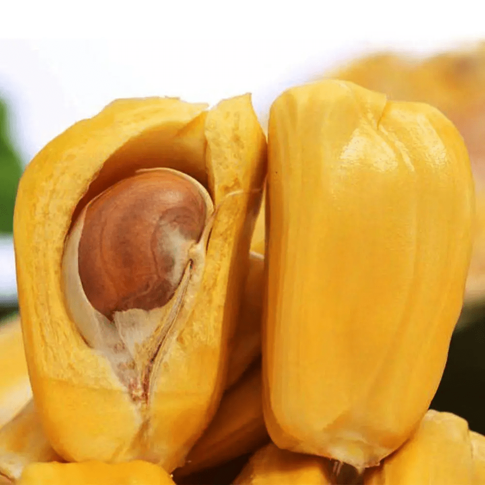 你真的会吃菠萝蜜吗