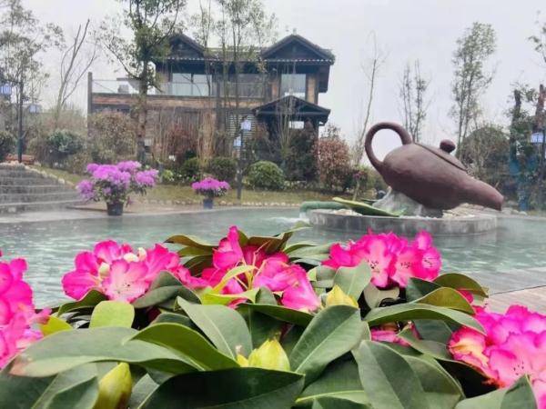 走 百里杜鹃泡温泉 温泉来