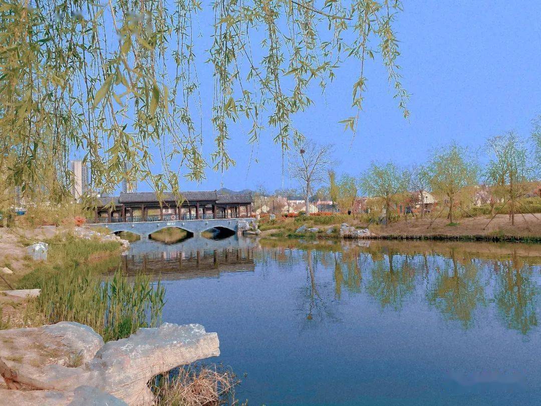 美景春风里垂柳依依清风拂过这是岚山城区护城河沿岸7个城市公园之一