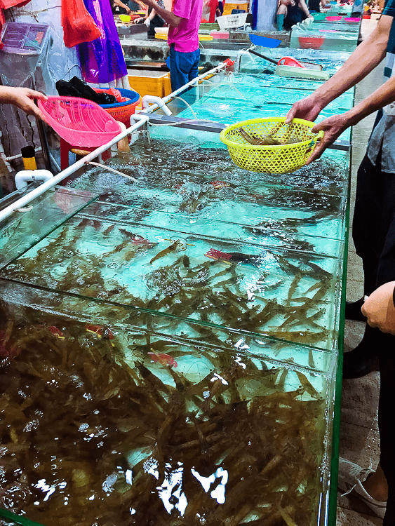 土产区,冻货区,百货区水产区,海鲜区,粮油区a座:01.