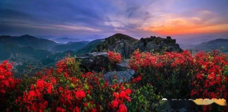 报名帖苍南矾山鹤顶山凤阳