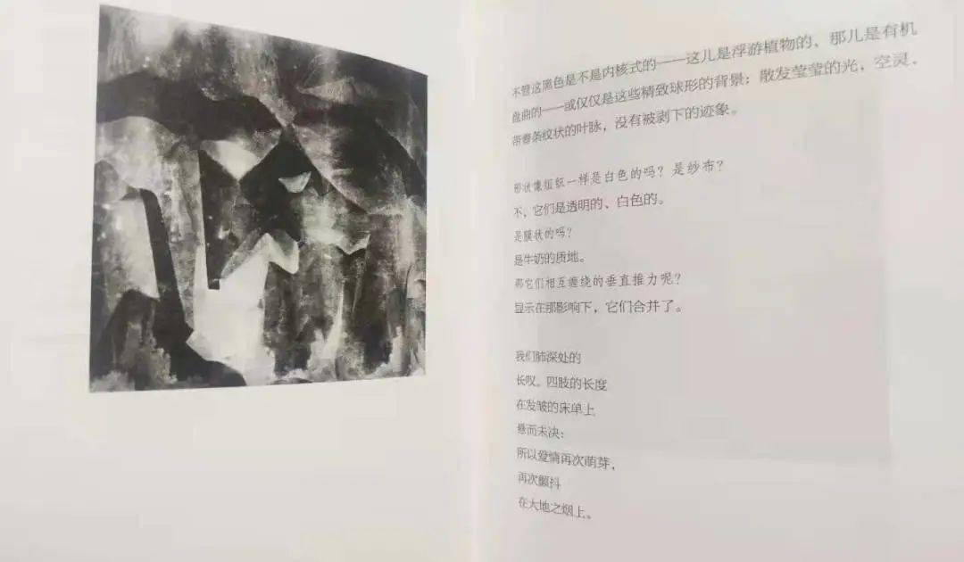 我没能把一生给我所爱的人:普利策奖诗人甘德直播对谈