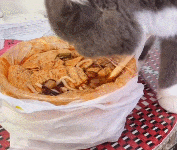 351_297gif 动态图 动图