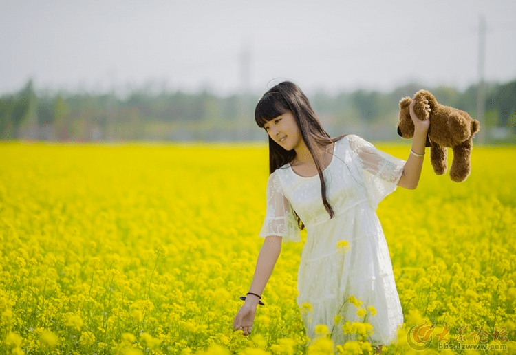 今年花开逛咸阳看花宫里醉春风旬邑县千亩油菜花盛开邀您来打卡