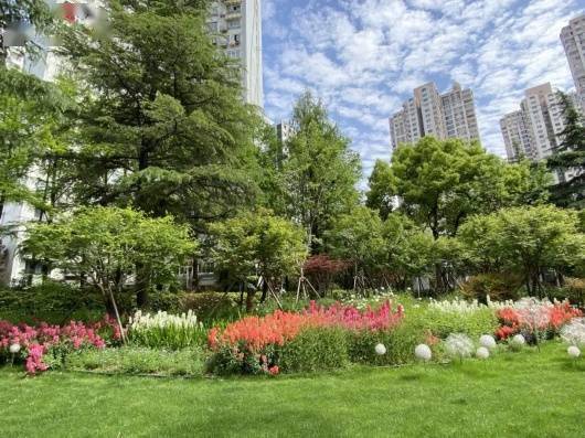 街心花园改造前(左)和改造后除了为附近的"上班族"增加了一条便捷通道